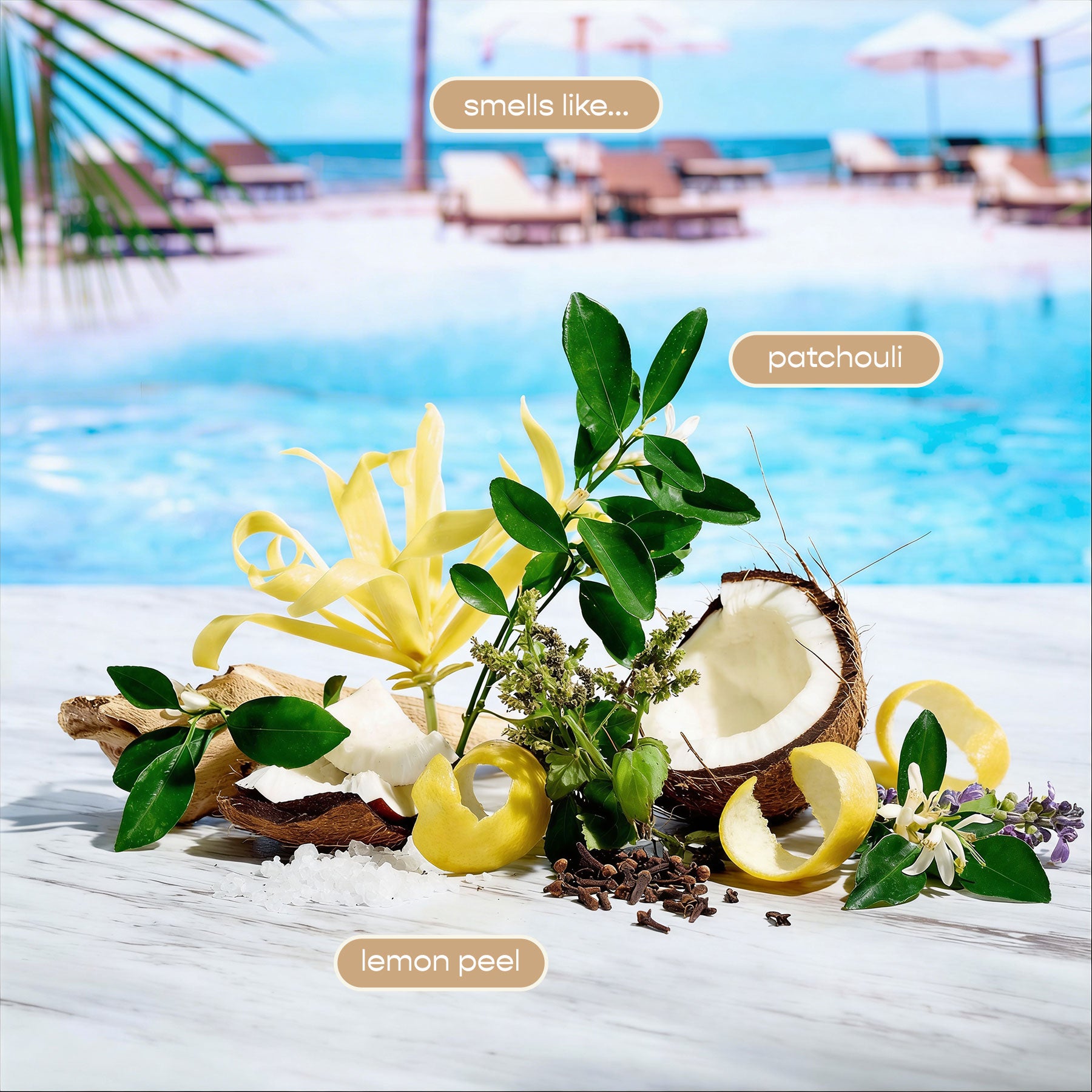 Miami Hydrating Conditioner
