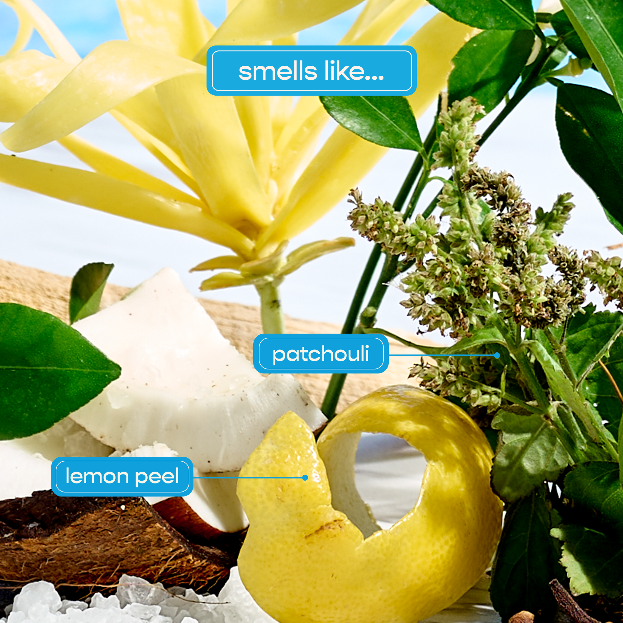 Miami Hydrating Conditioner