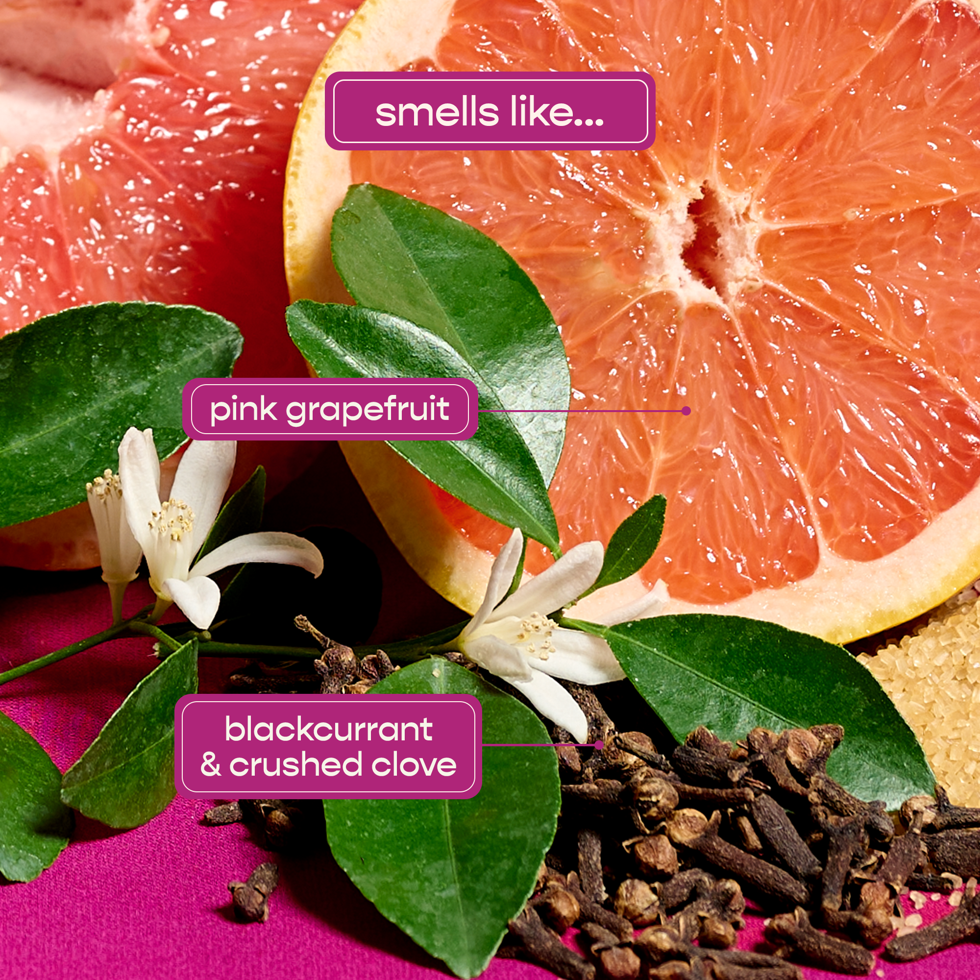 Paris Body Lotion - Shampoohotel