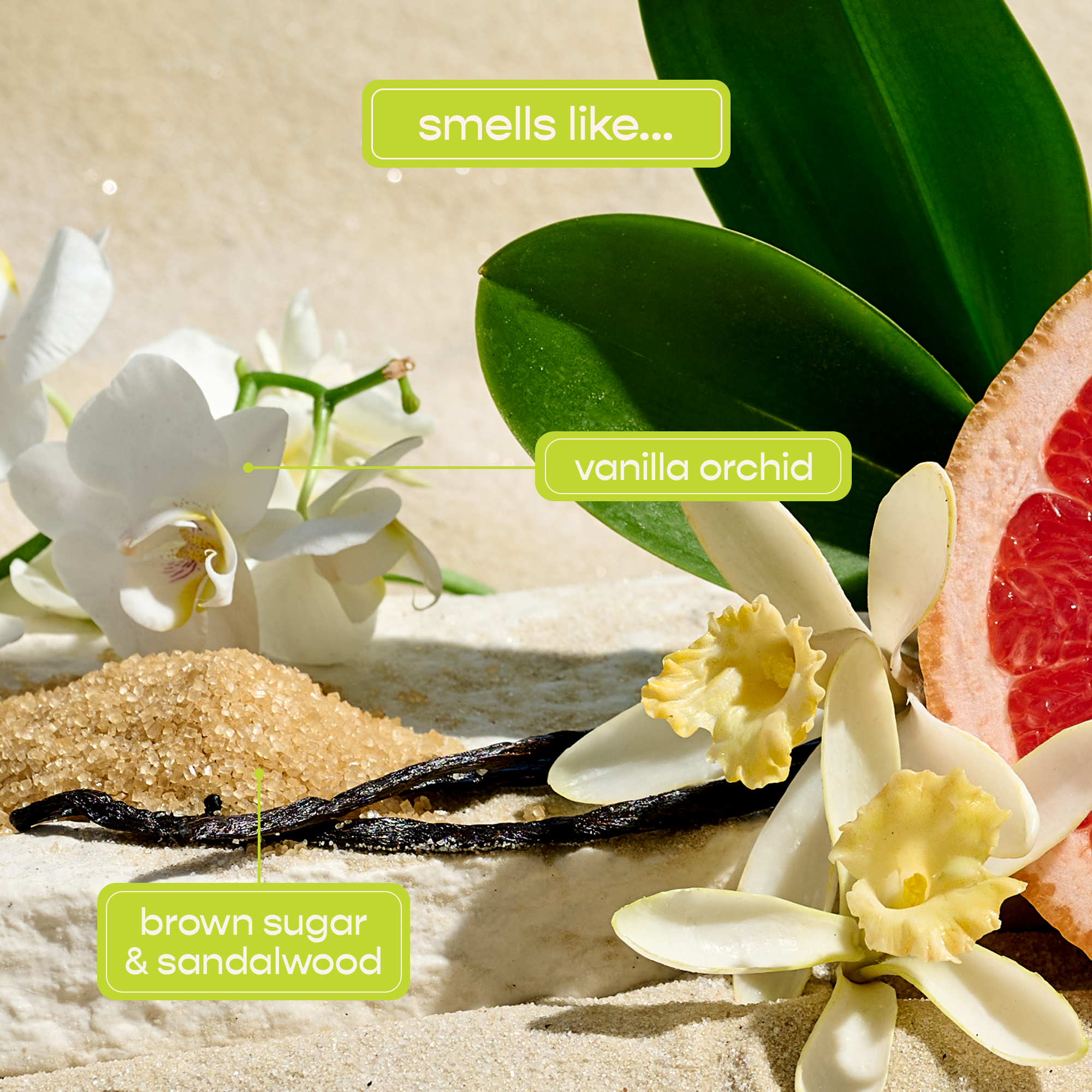 Rio Body Lotion - Shampoohotel