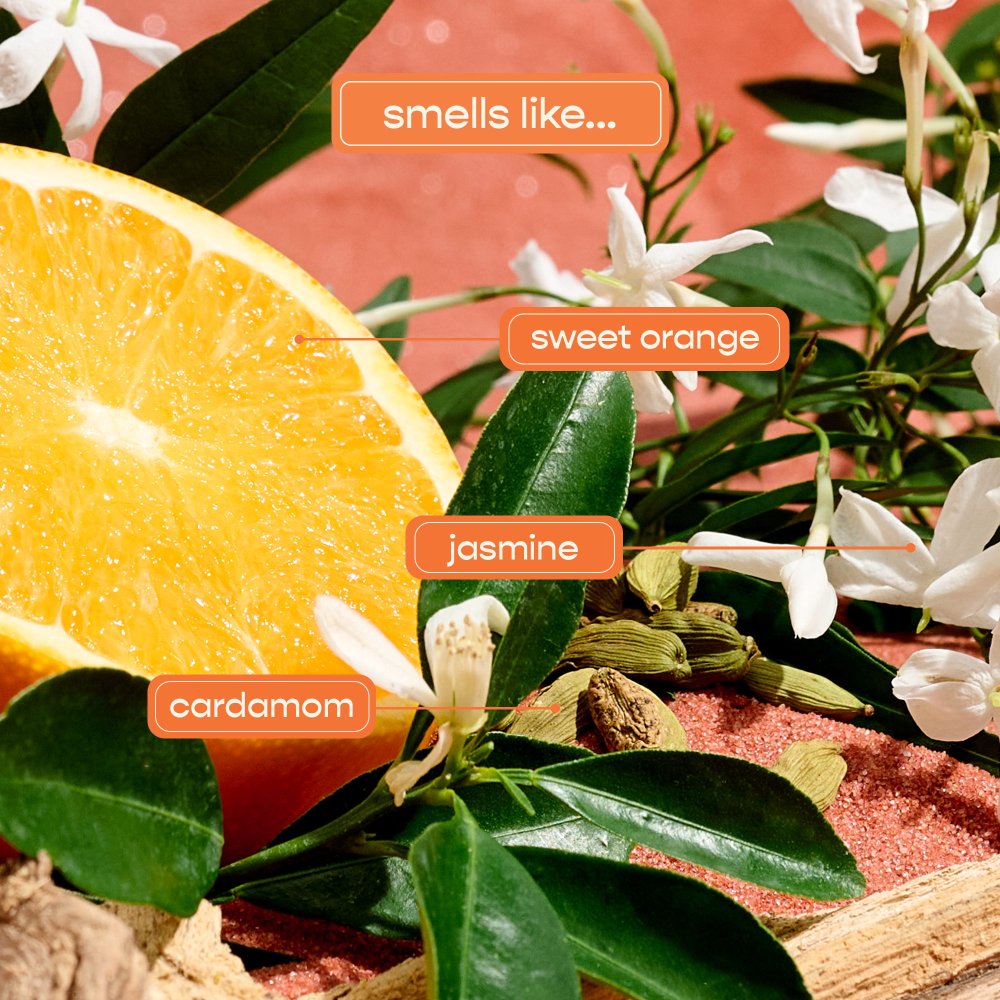 Marrakesh Body Wash - Shampoohotel