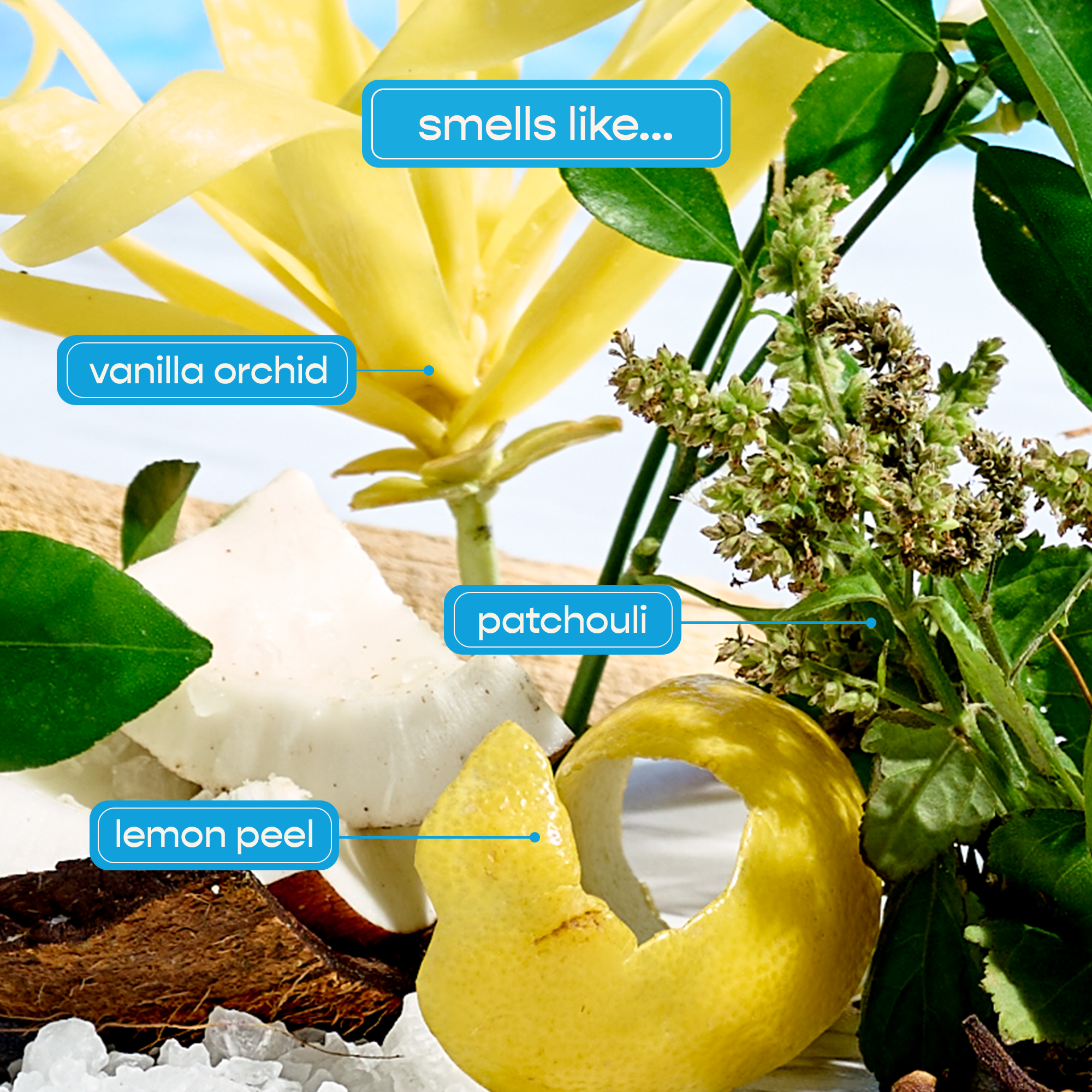 Miami Hydrating Conditioner - Shampoohotel