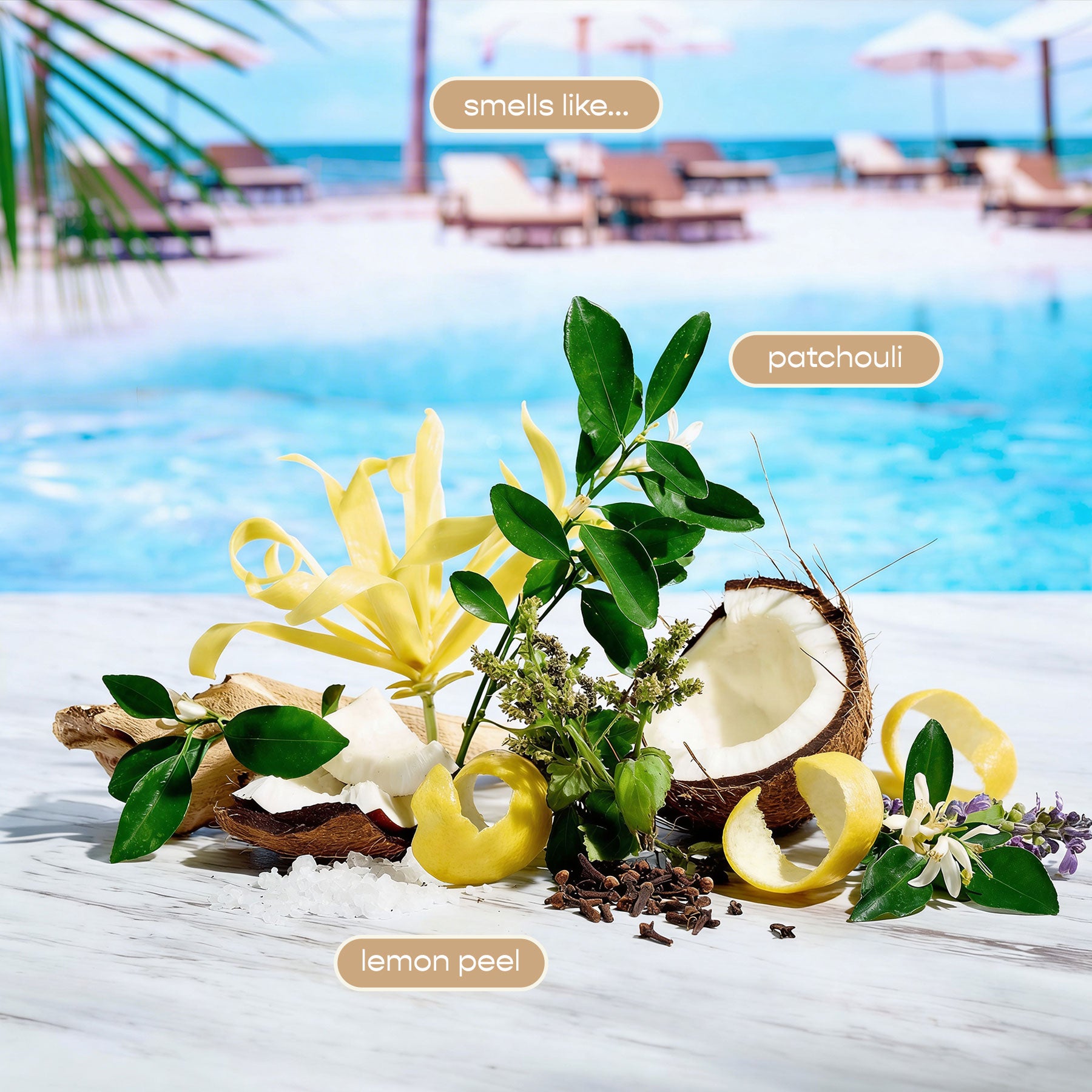 Miami Body Lotion